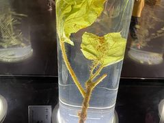 -广东中医药博物馆