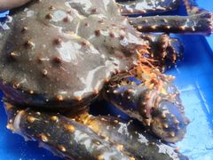 -蟹后Crabber(水悦城店)