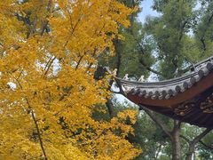 -汇龙潭