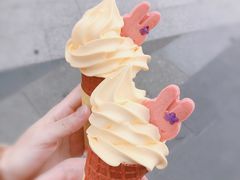 -麦当劳(开萝大道店)