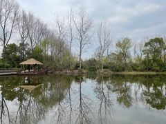 -溱湖国家湿地公园