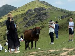 -大姆山草场