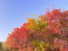 -北京西山国家森林公园