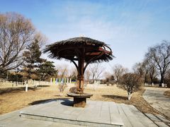 -莫子山公园