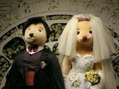 -济州岛泰迪熊博物馆