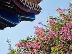 -梅州天地人花园酒店(梅县人民广场店)