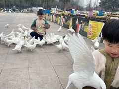 -成都欢乐谷