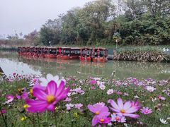 -江门古劳水乡旅游区