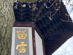 -上海佘山国家森林公园天马山园