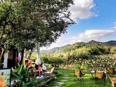 -东钱湖旅游度假区