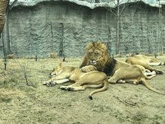 -北京野生动物园