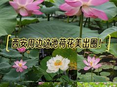 -渭滨公园