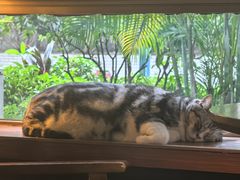 -咖法森林·咖啡  酒吧(天河店)