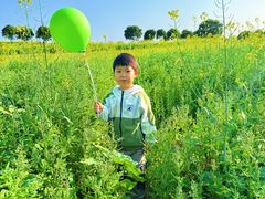 -光明小镇欢乐田园