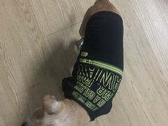 -宠颐生宠物医院外科·内科·皮肤科·影像科(石龙店)