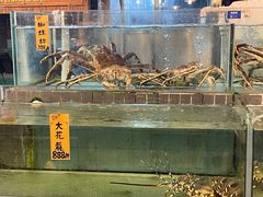 水产区-猪肉婆私房菜(容桂总店)