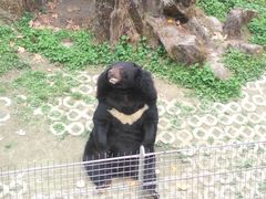 景点-成都动物园