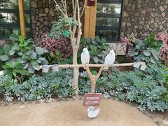 -南宫五洲植物乐园