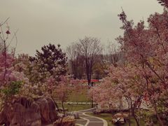 -西海子公园