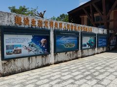 -广东惠东海龟国家级自然保护区