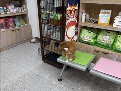-四月宠物医院·猫专科·心脏专科·内科(转塘店)
