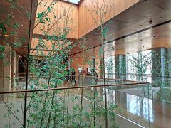 -广州富力君悦大酒店空中花园