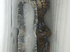 -乡乐园蟹庄·阳澄湖农家乐