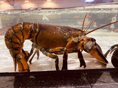 -沙田台山海鲜·酣客酒窖