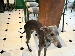 -Legno.ita Coffee by Wood(襄阳南路店)