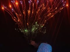 -珠海长隆海洋王国