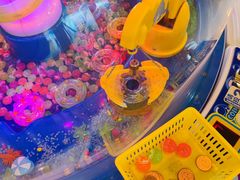 -汤姆熊欢乐世界(大连恒隆广场店)