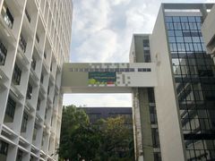 -香港大学