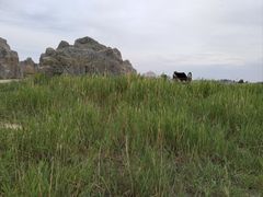 -敕勒川草原文化旅游区