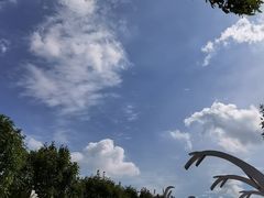 -南大港湿地风景区