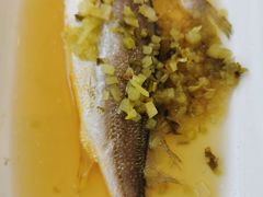 -宝燕海鲜(好爱店)
