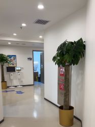 点击看大图 -丰联丽格医疗美容·联合丽格眼整形中心