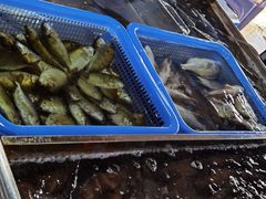 -新渔享海鲜餐厅(广海渔人码头店)
