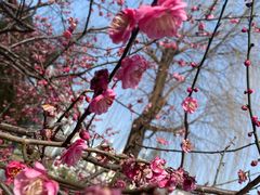 -西北湖绿化广场