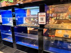 -蚝翅·海鲜粥·烧烤·龙虾季(海曙天一店)