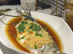 -羲和雅苑•北京烤鸭(国贸商城店)