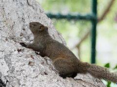 -呈贡滇池生态湿地公园
