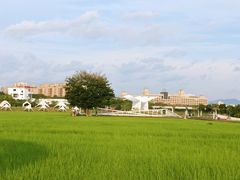 -艾米稻香小镇
