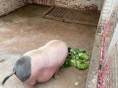 -金庭庄园酒店-停车场