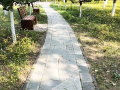 -东升八家郊野公园