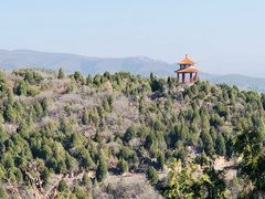 -府君山公园