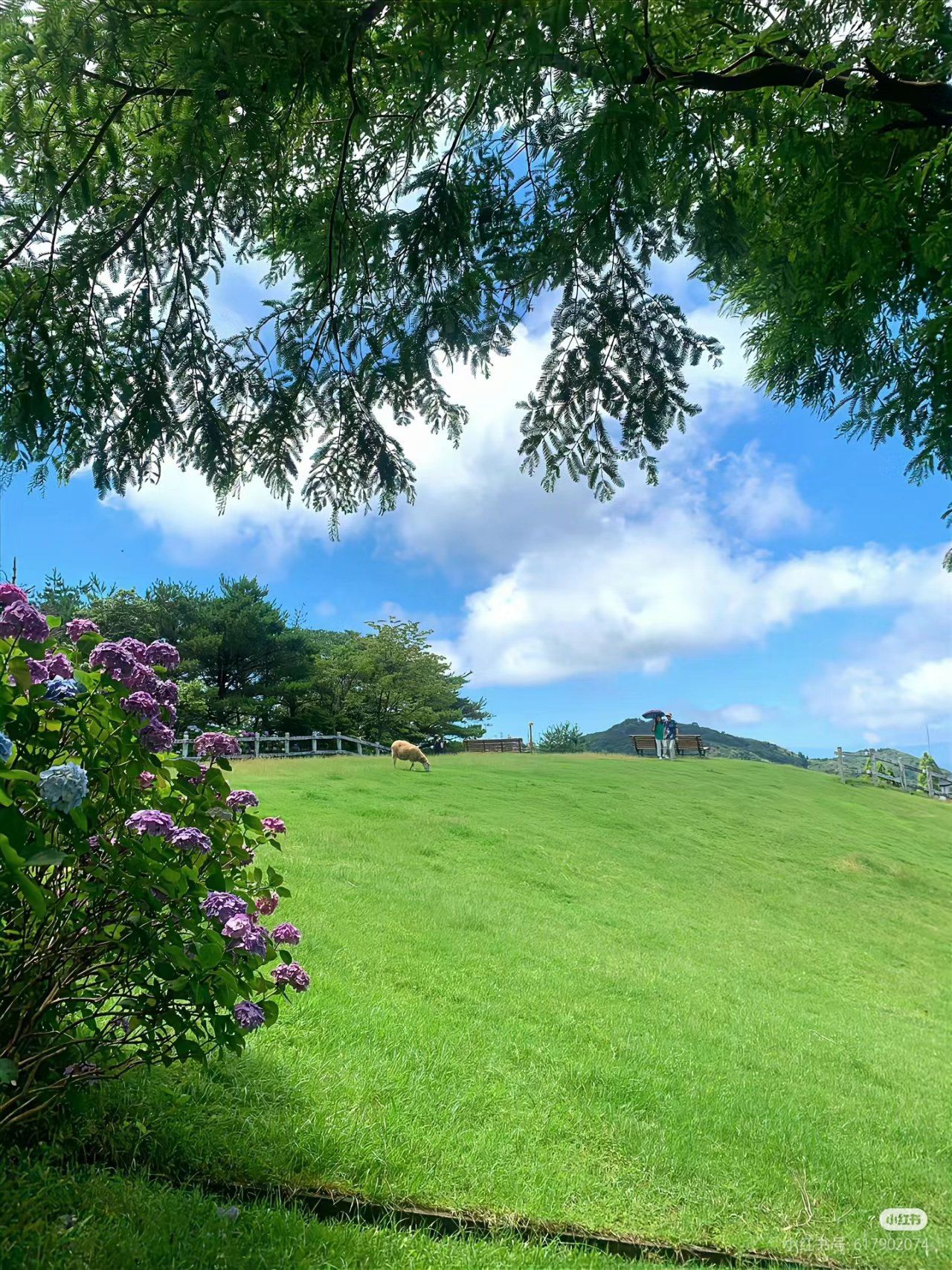 拥抱大自然的怀抱,小径漫步,大自然的拥抱#治愈系风景旅行#最美的风景
