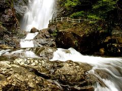 -姑婆山旅游区