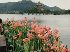 -顺峰山公园
