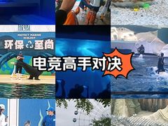 -秦皇岛乐岛海洋王国