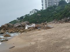 -玫瑰海岸文化旅游度假区